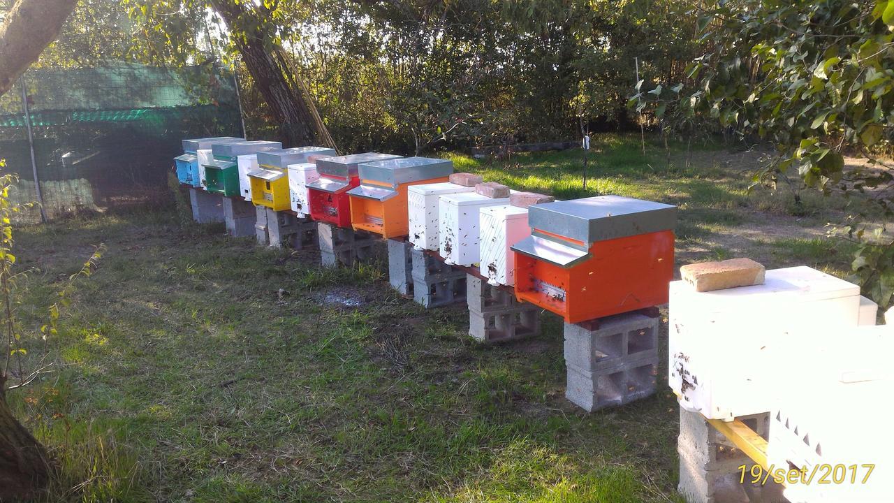 L'Ape In Corte Casa Di Campagna, Via Francigena Stanze E Colazione Vaccarizza Εξωτερικό φωτογραφία