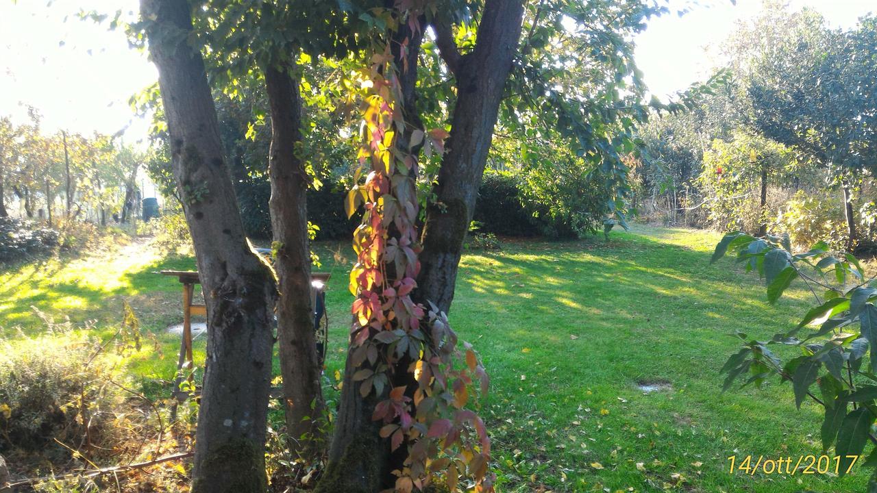 L'Ape In Corte Casa Di Campagna, Via Francigena Stanze E Colazione Vaccarizza Εξωτερικό φωτογραφία