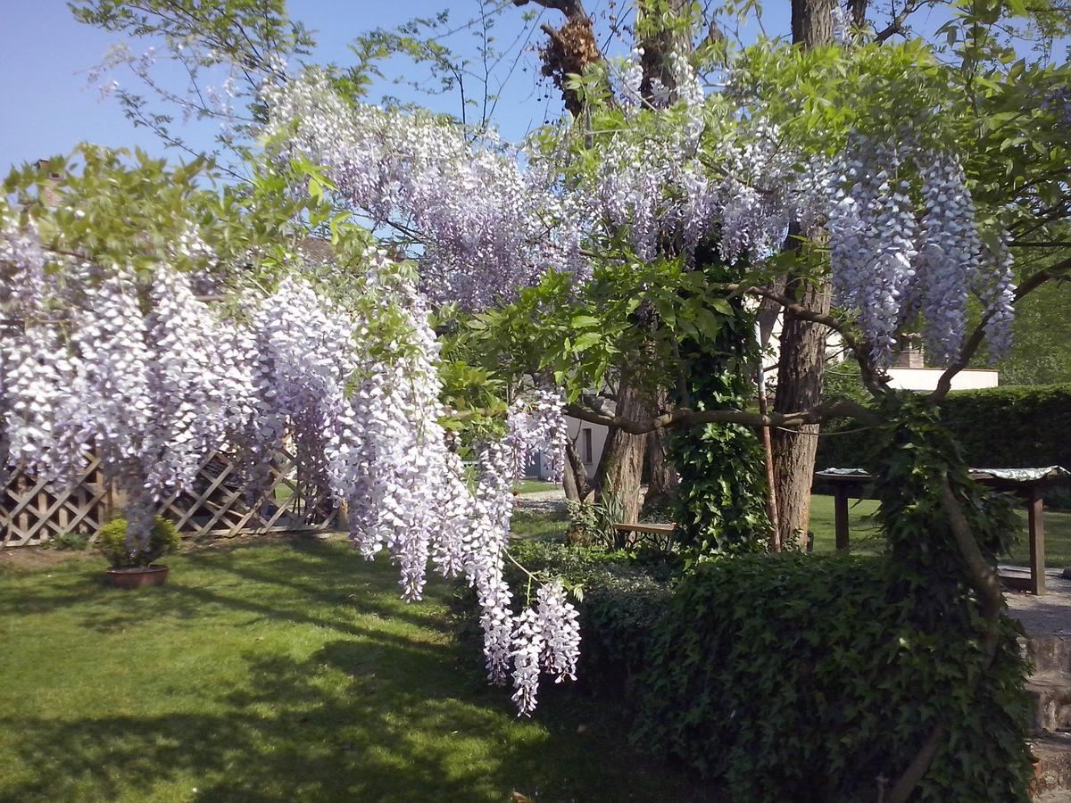 L'Ape In Corte Casa Di Campagna, Via Francigena Stanze E Colazione Vaccarizza Εξωτερικό φωτογραφία
