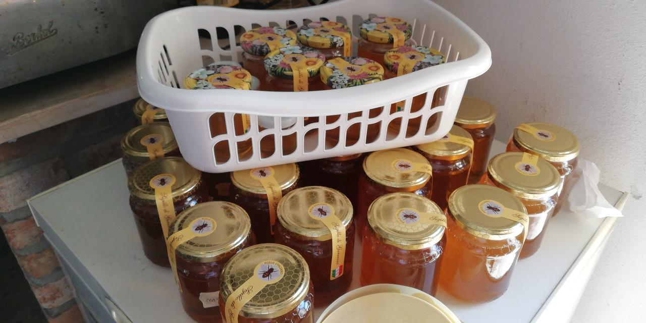 L'Ape In Corte Casa Di Campagna, Via Francigena Stanze E Colazione Vaccarizza Εξωτερικό φωτογραφία